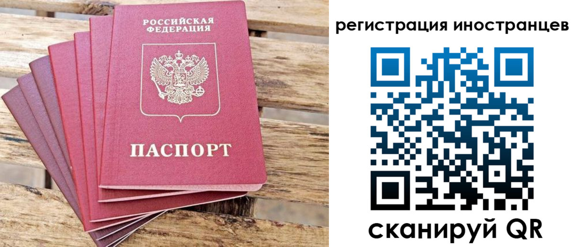 временная прописка в Сольцах
